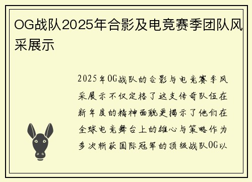 OG战队2025年合影及电竞赛季团队风采展示
