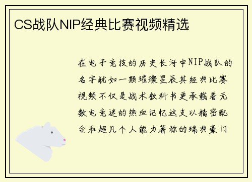 CS战队NIP经典比赛视频精选